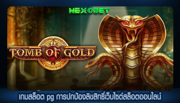 เกมสล็อต pg การปกป้องลิขสิทธิ์เว็บไซต์สล็อตออนไลน์